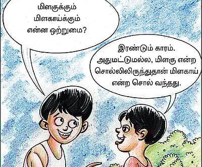 மிளகாயும் புகையிலையும் - பிழையற்ற தமிழ் அறிவோம்! – 45