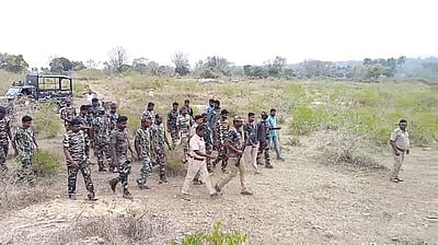 சத்தியமங்கலம் புலிகள் காப்பகத்தில் யானைகள் தாக்கியதில் ஓராண்டில் 13 போ் உயிரிழப்பு