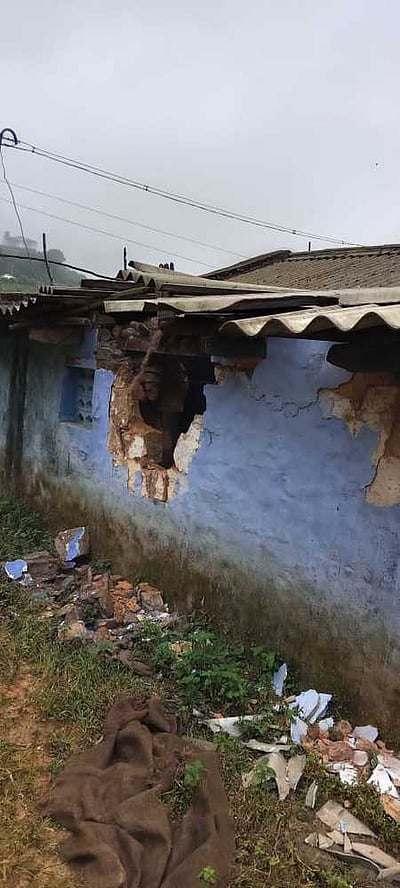 வால்பாறையில் 8 குடியிருப்புகளை சேதப்படுத்திய காட்டு யானைகள்