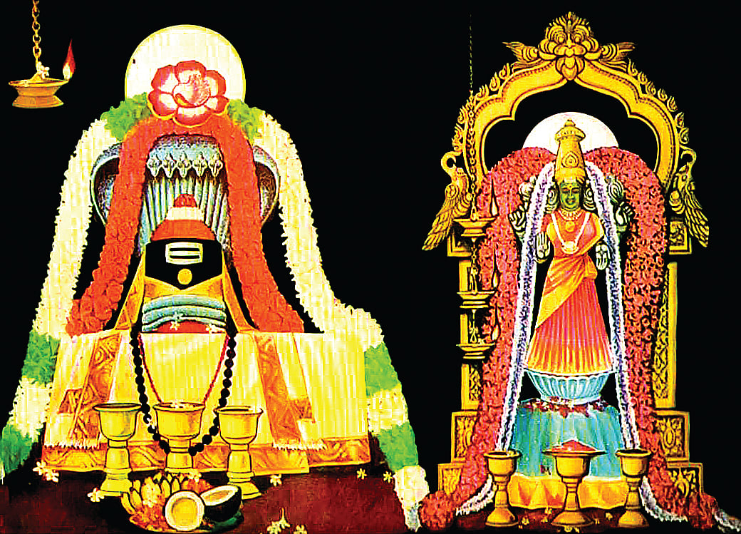 நோய்கள் தீர்க்கும் தலம்...