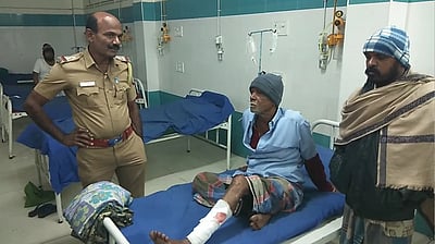 வெறி நாய் கடித்து  மூன்று பேர் மருத்துவமனையில் அனுமதி