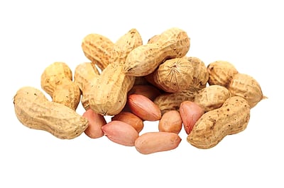 ஆயுள் காக்கும் ஆயுர்வேதம்: சுக சிகிச்சை என்றால் என்ன?