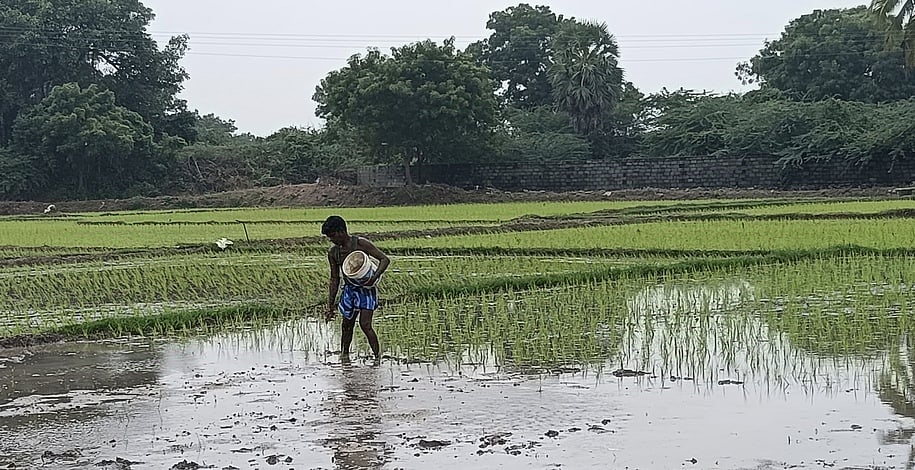 விவசாயிகள் வருவாய் அதிகரிப்பு: பிரதமரின் பொருளாதார ஆலோசனைக் குழு தலைவா் தகவல்