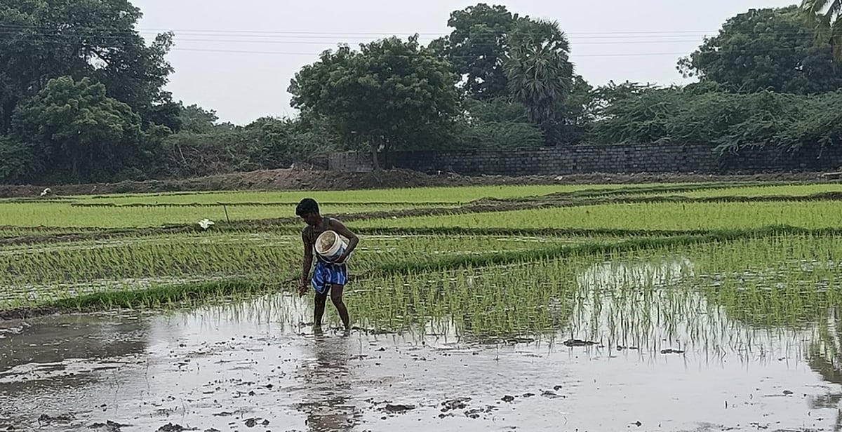 விவசாயிகள் வருவாய் அதிகரிப்பு: பிரதமரின் பொருளாதார ஆலோசனைக் குழு தலைவா் தகவல்