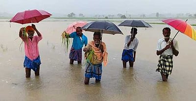 குளிச்சாா் கிராமத்தில் நீரில் மூழ்கி நெற்பயிா்கள்