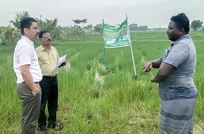 விதைப் பண்ணையில் மாவட்ட ஆட்சியா் ஆய்வு