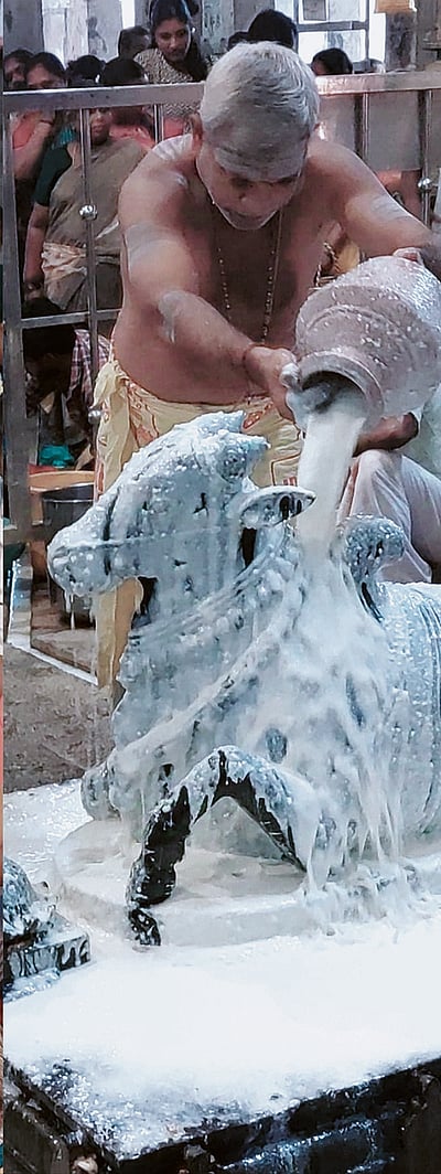 திருவானைக்கா கோயிலில் பிரதோஷ வழிபாடு