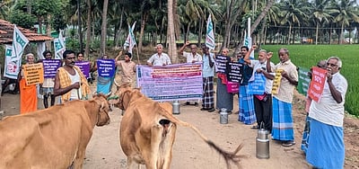 பால் உற்பத்தியாளா்கள் கறவை மாடுகளுடன் ஆா்ப்பாட்டம்