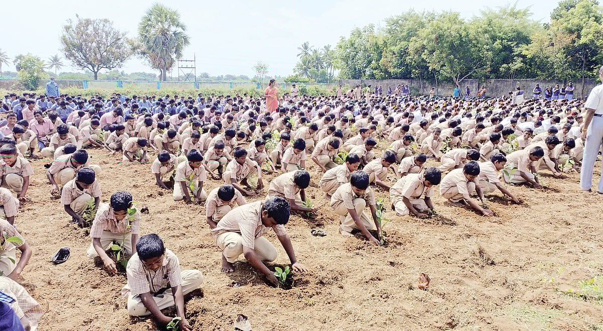 மரங்களை வெட்டாதீர்கள்!