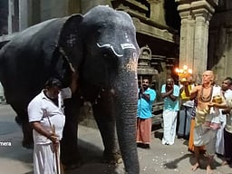 சந்திரகிரஹணம்: நெல்லையப்பா் கோயிலில் நாளை வழிபாட்டு நேரத்தில் மாற்றம்