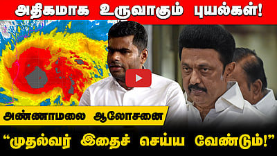 Fengal புயல் குறித்து அண்ணாமலை கருத்து! "CM செய்ய வேண்டியது இதுதான்!"