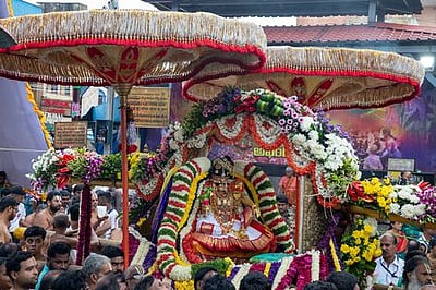 திருச்சானூா் பிரம்மோற்சவம்: பல்லக்கு, யானையில் பத்மாவதி தாயாா் உலா