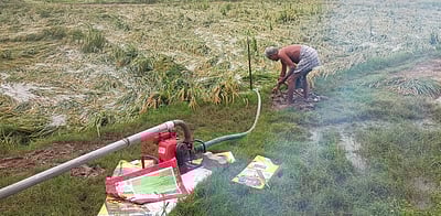 தொடா் மழை: பல ஆயிரம் ஏக்கரில் நெல் பயிா்கள் சேதம்