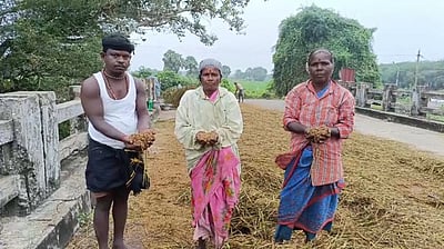 கனமழையில் நனைந்த நெல்மணிகள்: விவசாயிகள் கவலை