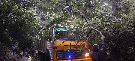 குரும்பாடி பகுதியில் லாரி மீது விழுந்த மரத்தை அகற்றும் பணியில் ஈடுபட்டுள்ள தீயணைப்புத் துறையினா்.