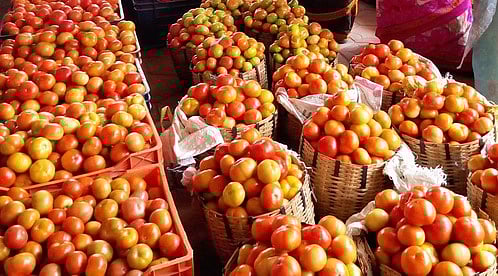 வாழப்பாடி தினசரி மண்டிக்கு விற்பனைக்கு வந்த தக்காளி.