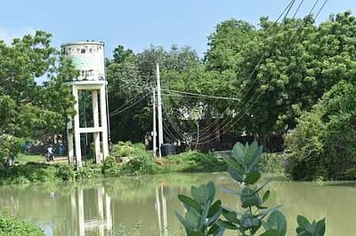 தாழ்வாக செல்லும் மின் கம்பிகளை சீரமைக்க கோரிக்கை