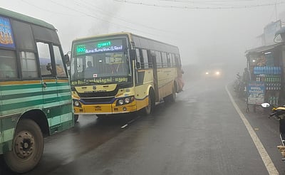 போடிமெட்டு மலைச் சாலையில் பனி மூட்டம்: வாகன ஓட்டிகள் அவதி