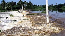 ரூ.200 கோடியில்
நதி இணைப்புத் திட்டங்கள்