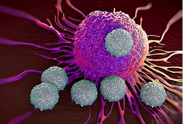 அறிவியல் ஆயிரம்: டி செல்கள் - நோயெதிர்ப்பு மண்டலத்தின் போர் வீரர்கள்!