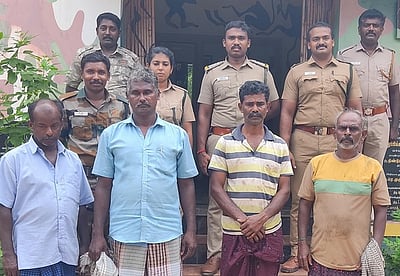 பாபநாசத்தில் காட்டுப் பன்றியை வேட்டையாடியதாக 4 போ் கைது