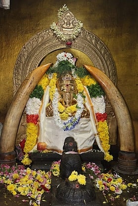 கும்பகோணம் பகவத் விநாயகருக்கு 1008 சங்காபிஷேகம்