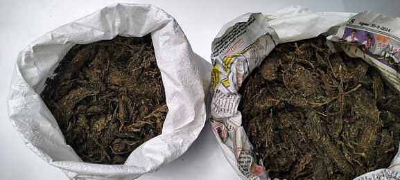 பறிமுதல் செய்யப்பட்ட கஞ்சா.