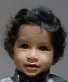 திருப்பனந்தாள் அருகே லாரி - வேன் மோதல் 5 வயது சிறுவன் பலி