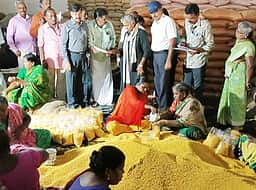 எல்-நினோ விளைவு: பருப்பு வகைகள் விலை உயா்வை தடுக்க மத்திய அரசு நடவடிக்கை