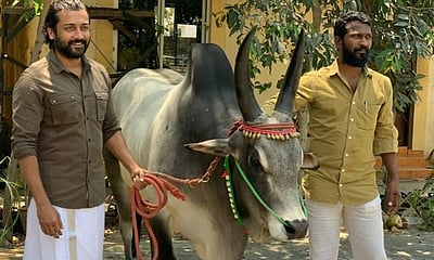 வாடிவாசல் அப்டேட்!