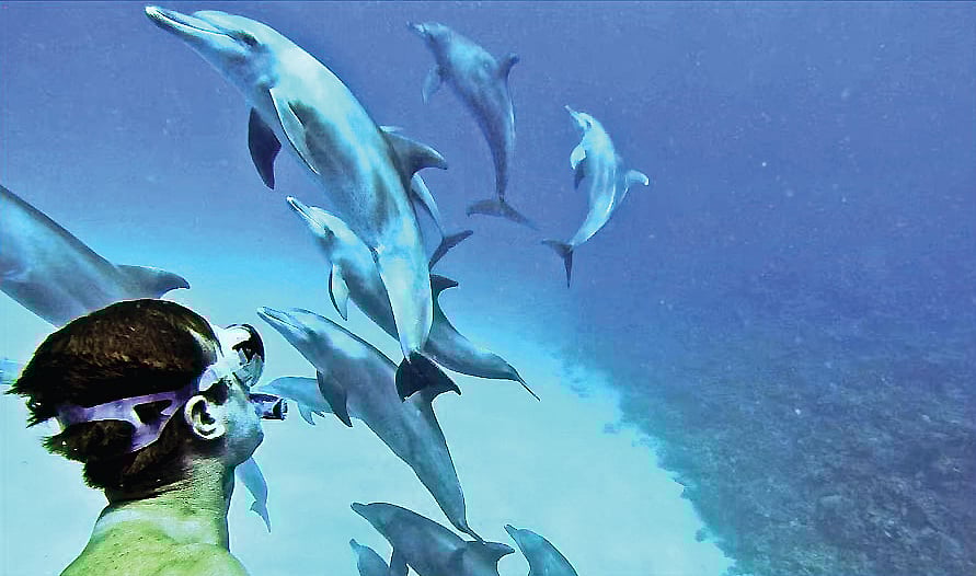 கொமொரோஸ்