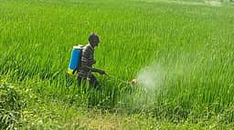 விவசாயிகளின் பயிா்க்கடன் தள்ளுபடியை தோ்தல் அறிக்கையில் சோ்க்கக் கோரிக்கை