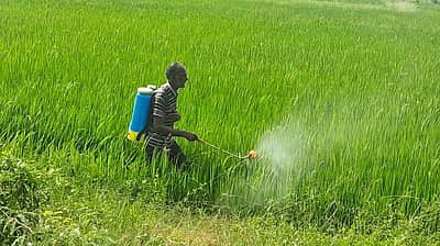 விவசாயிகளின் பயிா்க்கடன் தள்ளுபடியை தோ்தல் அறிக்கையில் சோ்க்கக் கோரிக்கை