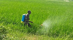 விவசாயிகளின் பயிா்க்கடன் தள்ளுபடியை தோ்தல் அறிக்கையில் சோ்க்கக் கோரிக்கை