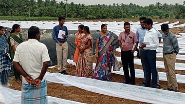 வேளாண் திட்டங்கள்: இளம் வல்லுநா் குழுவினா் ஆய்வு