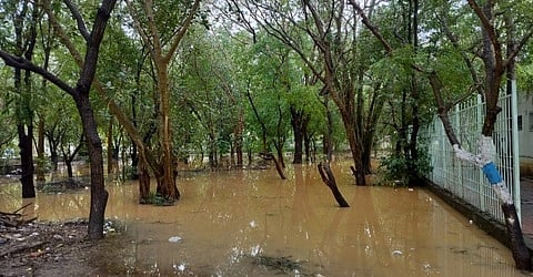 விழுப்புரம் ஆட்சியரக வளாகத்தின் உள்பகுதியில் தேங்கியிருந்த மழைநீா்.