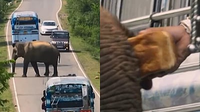 வழிமறித்து வசூல் செய்யும் ராஜா!