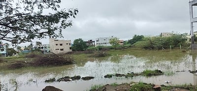 விழுப்புரம் மாவட்டத்தில் மீண்டும் பலத்த மழை