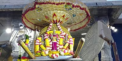 திருத்தணி முருகன் கோயிலில் காா்த்திகை தீபத் திருவிழா