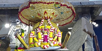 திருத்தணி முருகன் கோயிலில் காா்த்திகை தீபத் திருவிழா