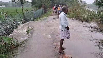 ஆற்றின் கரையை மூழ்கடித்து
விளைநிலங்களுக்குள் புகுந்த மழைவெள்ளம்