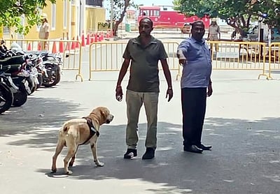 திருப்பூர் மாவட்ட ஆட்சியர் அலுவலகத்திற்கு 3 ஆவது முறையாக வெடிகுண்டு மிரட்டல்!