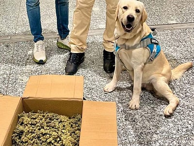 கடத்திவரப்பட்ட உயர்ரக கஞ்சா: காட்டிக்கொடுத்த மோப்ப நாய்!