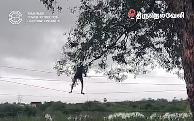 பாராட்டா? பரிதவிப்பா? மின் கம்பியில் ஏறி மரக்கிளையை வெட்டிய மின் ஊழியர்! 