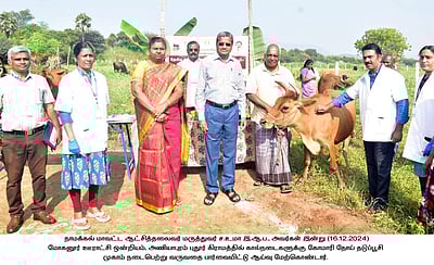 கோமாரி நோய் தடுப்பூசி முகாம் தொடக்கம்