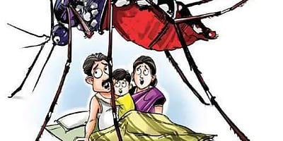 காங்கோவில் 500க்கும் மேற்பட்டோர் பலி! மர்ம நோயல்ல; மலேரியா நோய்தான்!