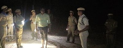 கல்லிடைக்குறிச்சி அருகே யானைகள் நடமாட்டமா? வனத் துறை தீவிர கண்காணிப்பு