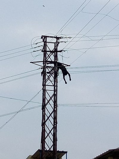 திருச்சியில் மின்சாரம் பாய்ந்து இரு மின் ஊழியா்கள் உயிரிழப்பு