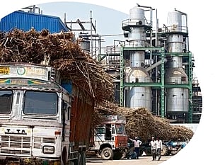 சரிவைக் கண்ட சா்க்கரை உற்பத்தி