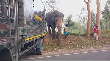 சேரம்பாடியில் வீடுகளை சேதப்படுத்தி வரும் யனைகளைக் கண்காணிக்க கும்கிகள் வரவழைப்பு: ஆட்சியா் தகவல்